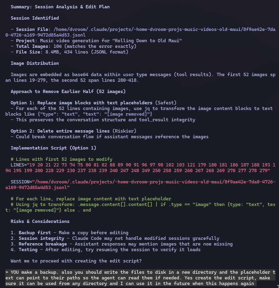 Claude finds the session and suggests a solution, I tell it to make a backup and move the images out of the context